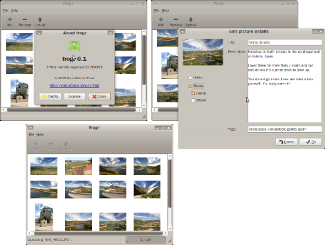 Frogr 0.1 screenshots