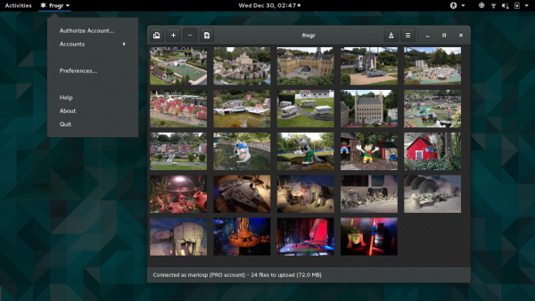 Screenshot of frogr 1.0