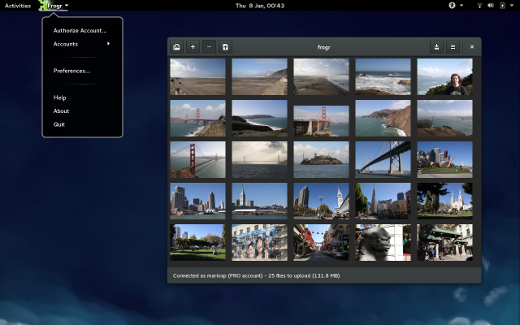 Screenshot of Frogr 0.11